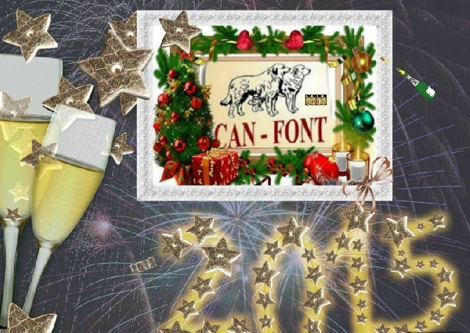 de Can Font - HAPPY NEW YEAR 2015